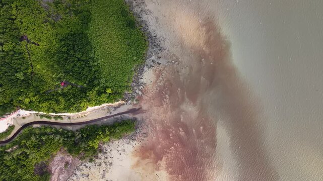 Aerial view shows murky water meeting green shoreline
