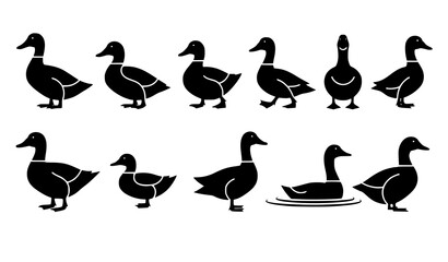 Minimal duck and goose silhouette icon set with simple waterfowl bird figures vector collection © MdArif