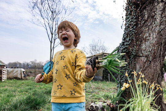 Crying boy in the garden holding a flower bulb and a trowel
