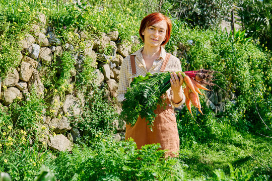 Woman harvesting carrots and beetroots in home organic garden