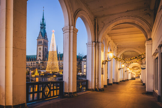 Illuminated Hamburg city hall with Christmas tree at twilight