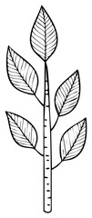 Fototapeta premium Simple botanical doodle of leaves on a branch in a sketched vector style