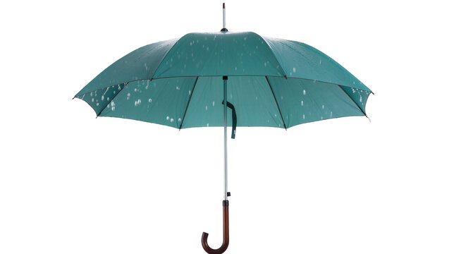 Teal Rain Umbrella with Black Handle and Metal Ribs