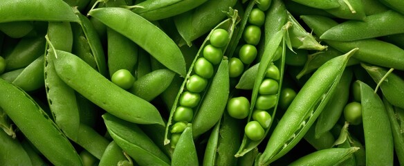 Fototapeta premium Close-up of fresh green peas ready to cook for healthy meals and nutrition benefits