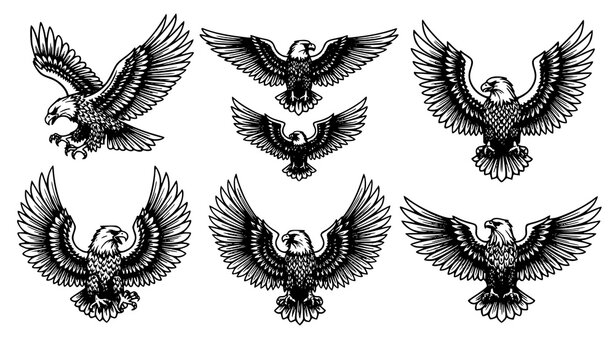 Golden vintage eagle emblem vector set decorative bird logo illustration