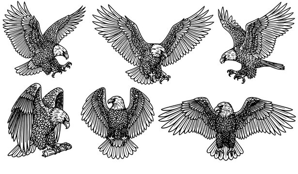 Eagle silhouette vector set flying bird black icon collection isolated on white