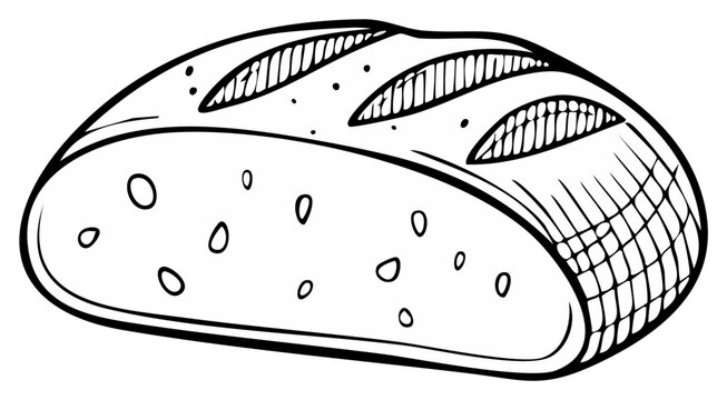 Freshly baked artisan bread loaf sketch, illustration. Sliced loaf showing interior texture.