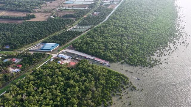 Aerial view of mangrove forest at Kuala Haji Ibrahim Sungai Udang