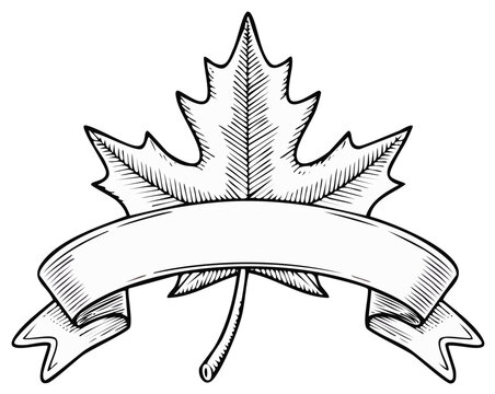 Black and white hand-drawn maple leaf with empty banner for text on a white background