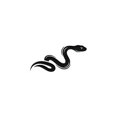 Fototapeta premium Black snake curled up sideways.