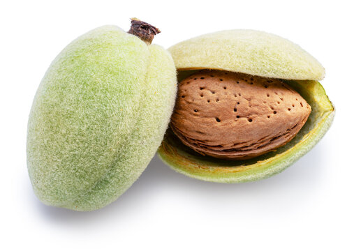 Fresh green almond fruit, including an open almond, isolated on a white background with clipping path.
