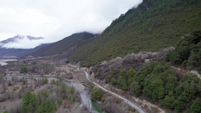 Drone view of road through village in Bomi County, Nyingchi, Tibet, China. Beautiful pink peach blossoms with snow covered mountains and white clouds background. 4k real time footage, travel concept.