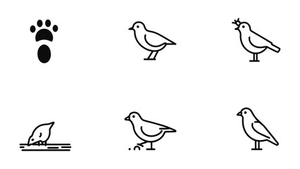 Fototapeta premium Avian Ensemble: A collection of meticulously crafted, minimalist line art icons that celebrate the essence of birds, depicting their diverse forms and activities.