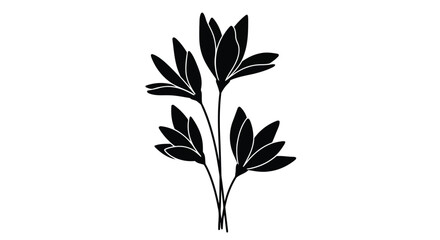 Adobe Illustrator Artwork © MohammadMasud