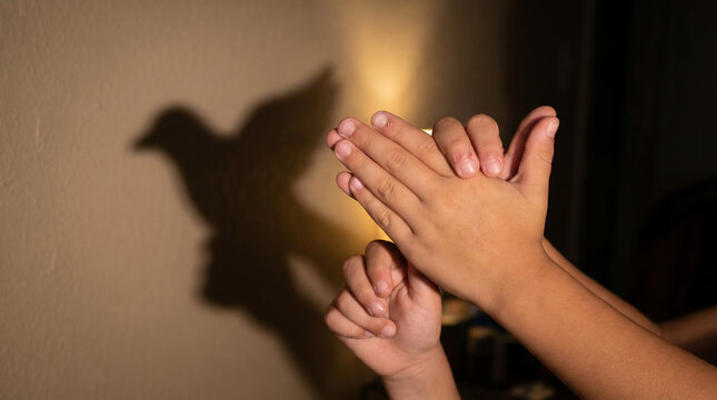 Hands creating shadow puppets resembling a bird on the wall  