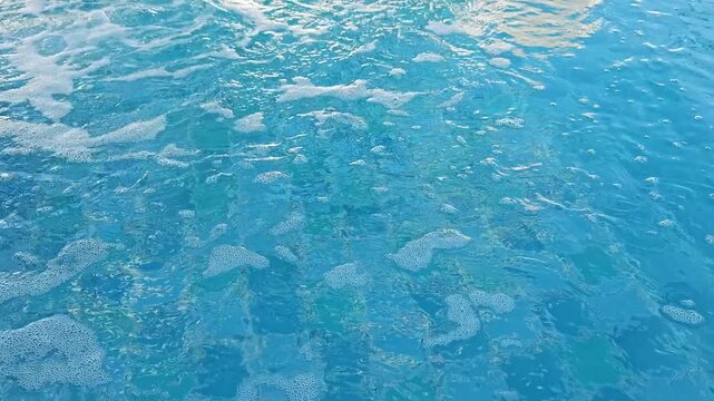 Dive into tranquil beauty of aquatic life beneath clear waters revealing nature's hidden wonders.