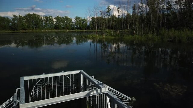 Metallic fish trap in foreground, smooth pond surface and wooded shoreline in background at Tommy Thompson Park, wide shot with tilt up