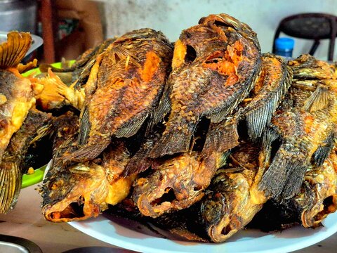Deep Fried Tilapia Fish Stack on a Plate