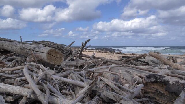 The scene shifts from light to shade as a vast collection of weathered driftwood lies scattered across a sandy shore, with ocean waves crashing in the background under a cloudy sky at Ramsgate.