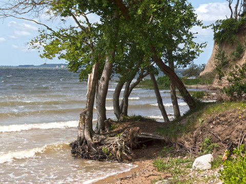 Meer und Steilk&uuml;ste auf Jasmund,  Osteeinsel R&uuml;gen