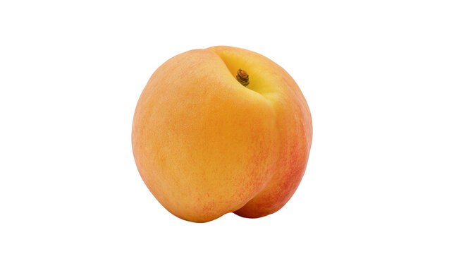Ripe orange apricot fruit with stem and calyx