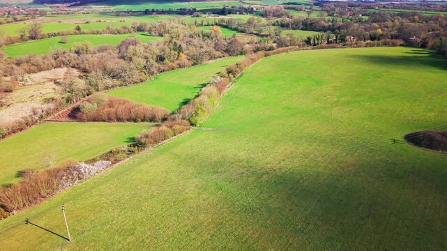 Aerial drone view of green farmland fields with hedgerows and patchwork landscape in rural Wiltshire countryside in the United Kingdom on a bright day