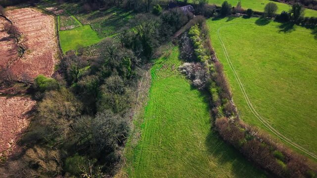 Top down aerial view of hedgerows woodland and green farmland fields in rural countryside landscape in the United Kingdom