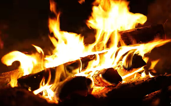 Close-up of burning firewood in a crackling campfire at night with golden flames.