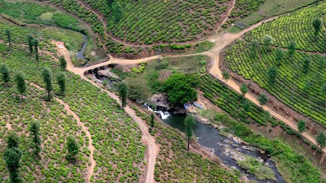 Cinematic aerial view of a tea estate featuring a small waterfall cascading into a narrow stream, surrounded by neatly patterned plantation rows and intersecting dirt roads across rolling green hills.