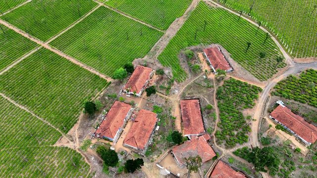 Aerial view of a hilltop village in the Western Ghats, featuring a row of red-roofed houses nestled among lush green plantations, with winding paths and rolling hills stretching into the distance.