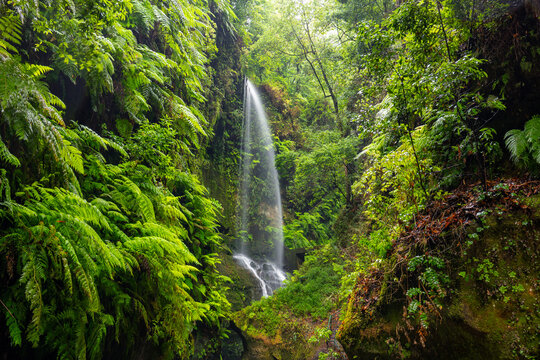 Los Tilos Waterfall, La Palma, Canary Islands, Spain