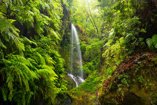 Los Tilos Waterfall, La Palma, Canary Islands, Spain