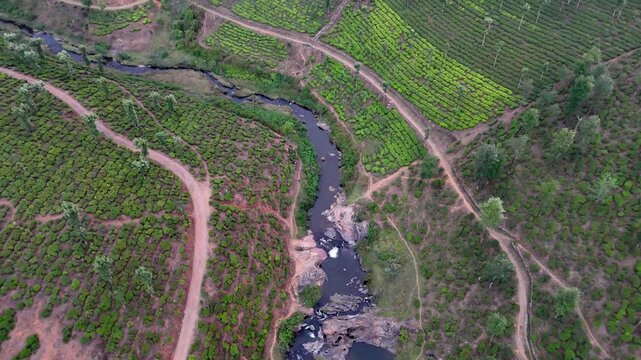 Smooth forward aerial view traveling over a meandering water channel bordered by plantations, with crisscrossing paths and textured vegetation forming a visually striking landscape.