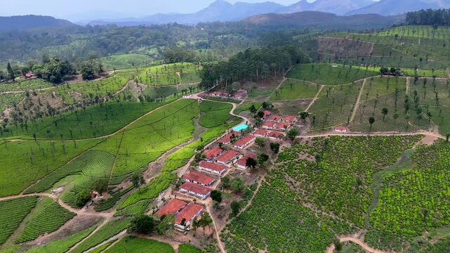 Cinematic aerial of a rural hilltop village with uniform rooftops, intersecting dirt roads, and expansive plantation landscapes, set against a backdrop of undulating hills and distant mountains.