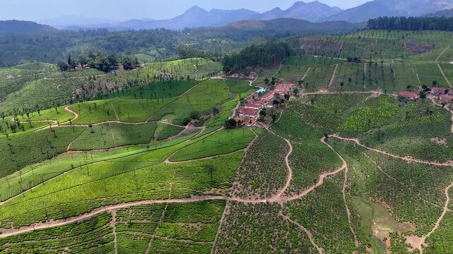 Drone shot capturing a peaceful rural settlement set amid patterned plantations, with intersecting trails, scattered trees, and layered hills creating a scenic and tranquil landscape.