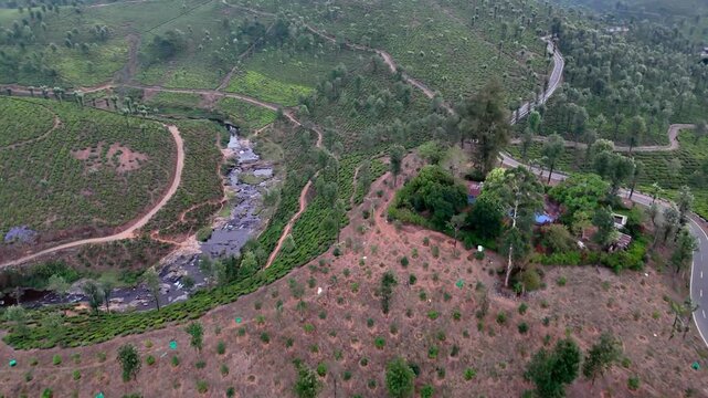 Cinematic forward-moving aerial shot gliding above patterned plantations divided by a narrow flowing stream, with intersecting dirt roads and contrasting green and earthy textures creating a dynamic.