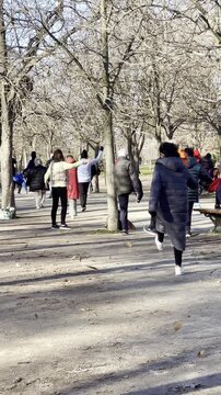 Mayores tercera edad en actividad f&iacute;sica y ejercicios de movilidad, flexibilidad y agilidad en grupo saludable al aire libre para salud, longevidad y calidad de vida