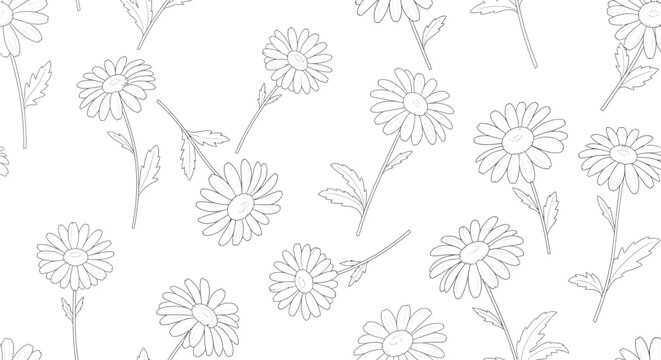 Delicate dandelion seed heads pattern - simple line art illustration on white