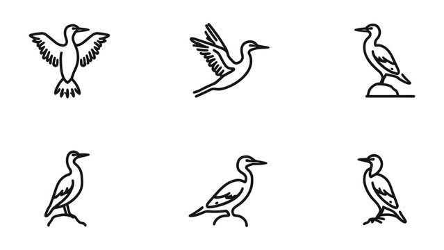 Cormorant Illustration Set: A minimalist illustration set showcases a variety of stylized cormorant birds in different poses, offering versatility for design and branding projects.