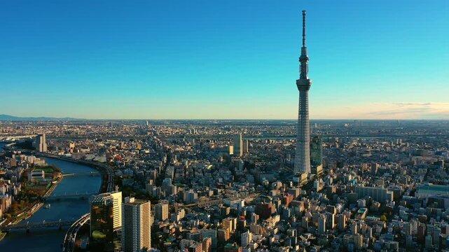 Aerial view 4k video by drone of building tokyo sky tree in Tokyo city Japan on sunrise.