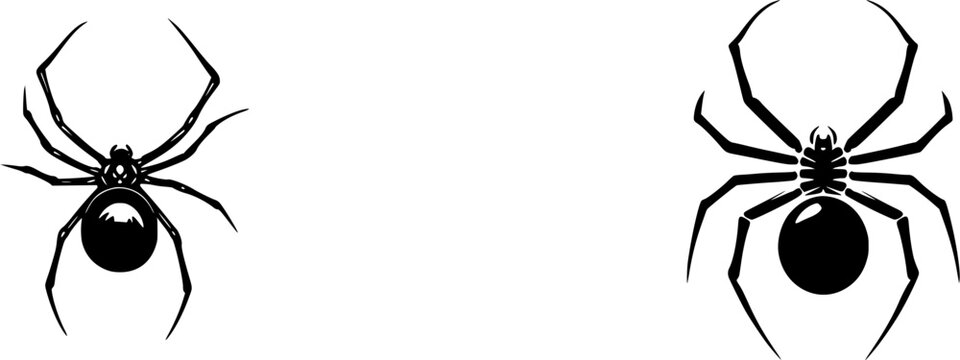 A solitary Black Widow spider with its distinctive red hourglass marking stands out against a pristine white background, exuding an air of mystery and intrigue