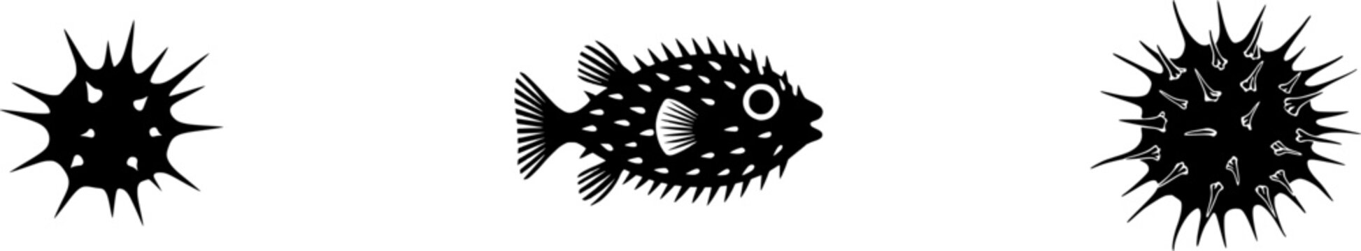 A solitary Pufferfish, blown up to reveal its spherical shape and small, sharp spines, stands isolated on a pure white background