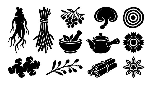 Traditional Chinese Medicine Herb Silhouette Set &ndash; TCM Natural Remedies and Herbal Ingredients Icons Collection