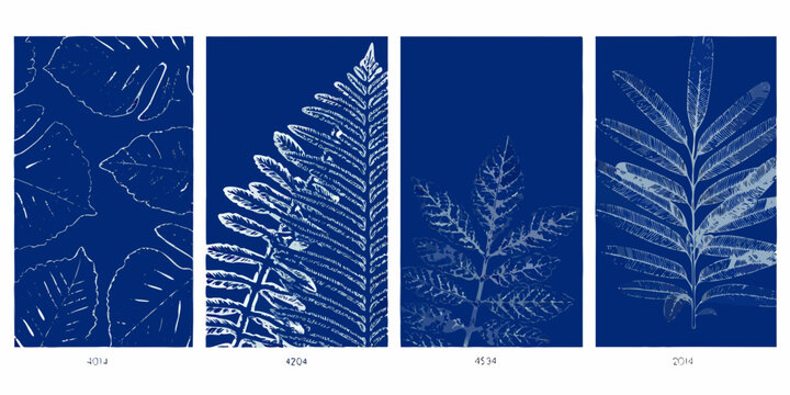 Botanical cyanotypes a series of plant specimens in deep indigo hues