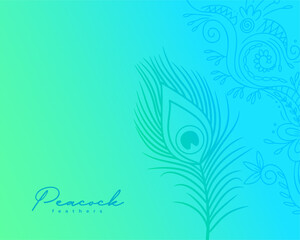 tropical peafowl feather background design © starlineart