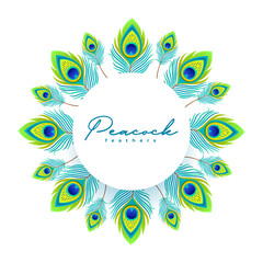 beautiful peacock plume feather frame background design © starlineart