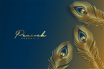 artistic golden peacock feather background design © starlineart
