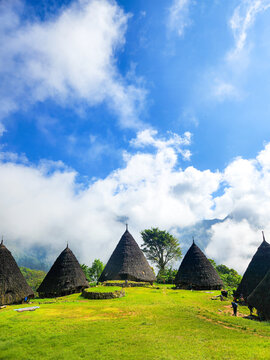 traditional house is located in waerebo nusa tenggara timur indonesia
