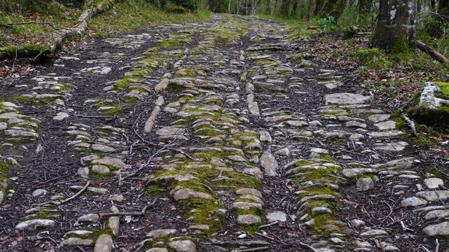 "Royal Road of Las Enderrozas" on the route to the Hijuela River waterfalls in Ir&uacute;s, in the Mena Valley. Merindades region. Burgos. Castile and Le&oacute;n. Spain. Europe