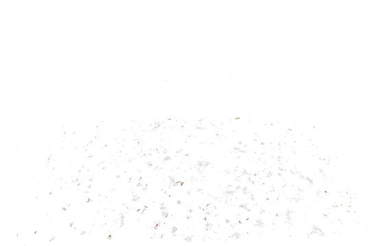Bird droppings, view 3D. On isolated transparent background.